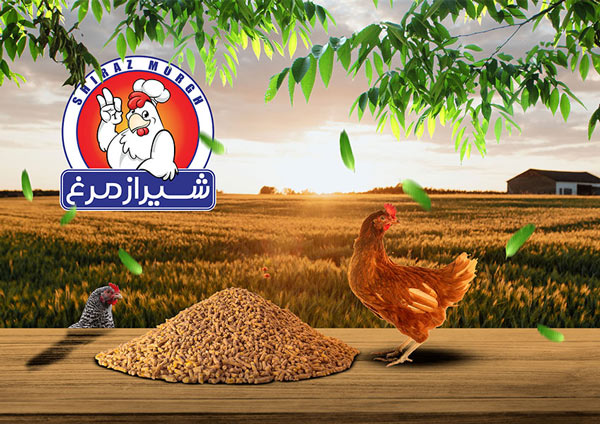  Makan Morgh Pars is a prominent player in Iran poultry industry   